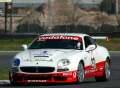 Maserati Trofeo